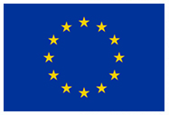 European Union Flag